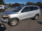 2009 HYUNDAI SANTA FE
