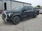 2025 TOYOTA TUNDRA