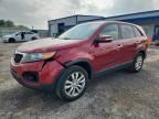 2011 KIA SORENTO