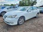 2010 LEXUS ES