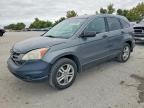 2010 HONDA CR-V