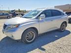 2010 LEXUS RX