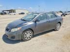 2009 TOYOTA COROLLA