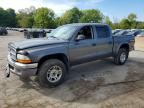 2003 DODGE DAKOTA