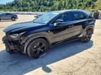 2019 LEXUS NX 300