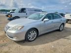 2010 LEXUS ES