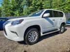 2017 LEXUS GX