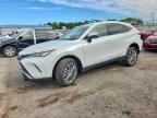 2023 TOYOTA VENZA
