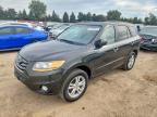2010 HYUNDAI SANTA FE