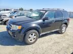 2011 FORD ESCAPE