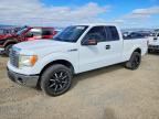 2011 FORD F150