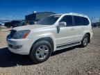 2004 LEXUS GX