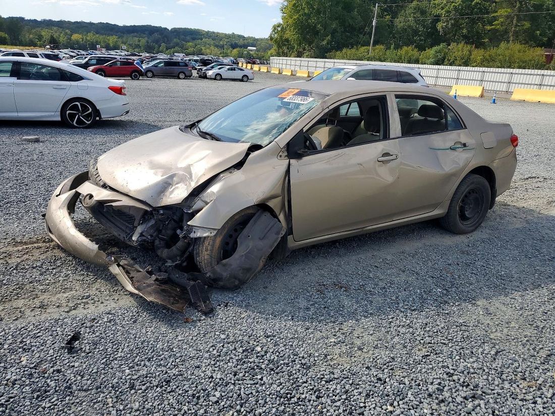 2010 TOYOTA COROLLA