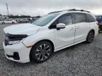 2025 HONDA ODYSSEY