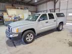 2005 DODGE DAKOTA