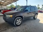 2007 FORD ESCAPE