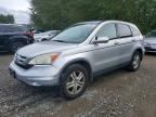 2010 HONDA CR-V