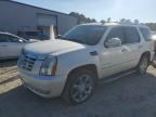 2009 CADILLAC ESCALADE