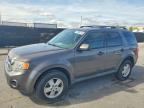 2012 FORD ESCAPE