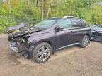 2013 LEXUS RX