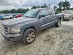 2011 DODGE DAKOTA