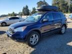 2010 HONDA CR-V