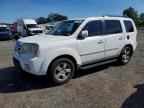 2011 HONDA PILOT