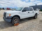 2010 FORD F150