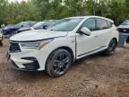 2019 ACURA RDX