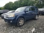 2011 HONDA PILOT