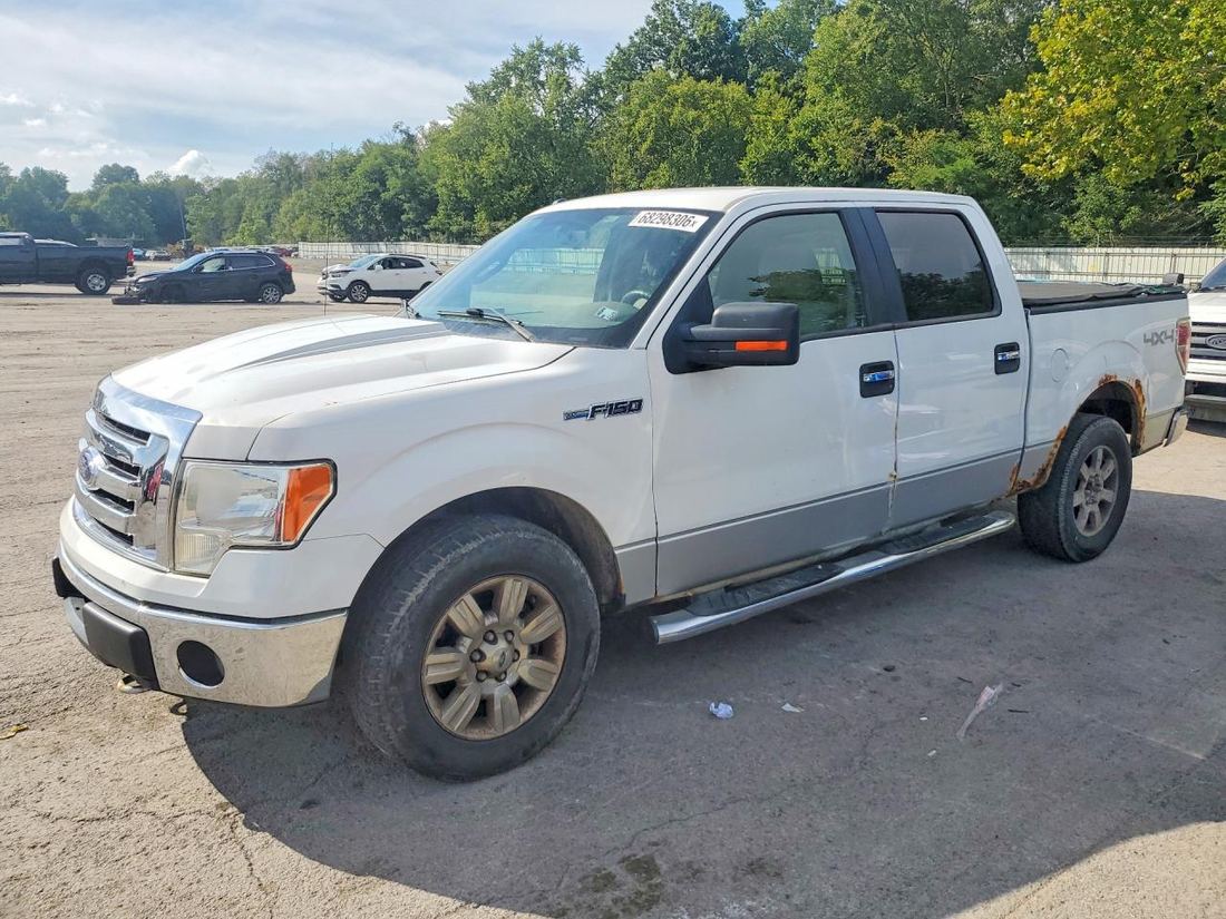 2010 FORD F150