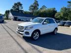 2018 MERCEDES-BENZ GLE