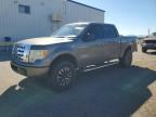 2010 FORD F150