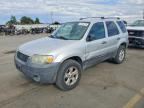 2007 FORD ESCAPE