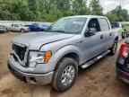 2013 FORD F150