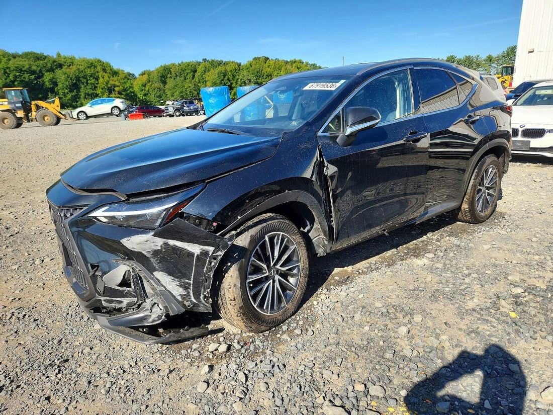 2023 LEXUS NX