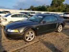 2000 FORD MUSTANG