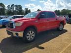 2010 TOYOTA TUNDRA