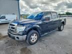 2013 FORD F150