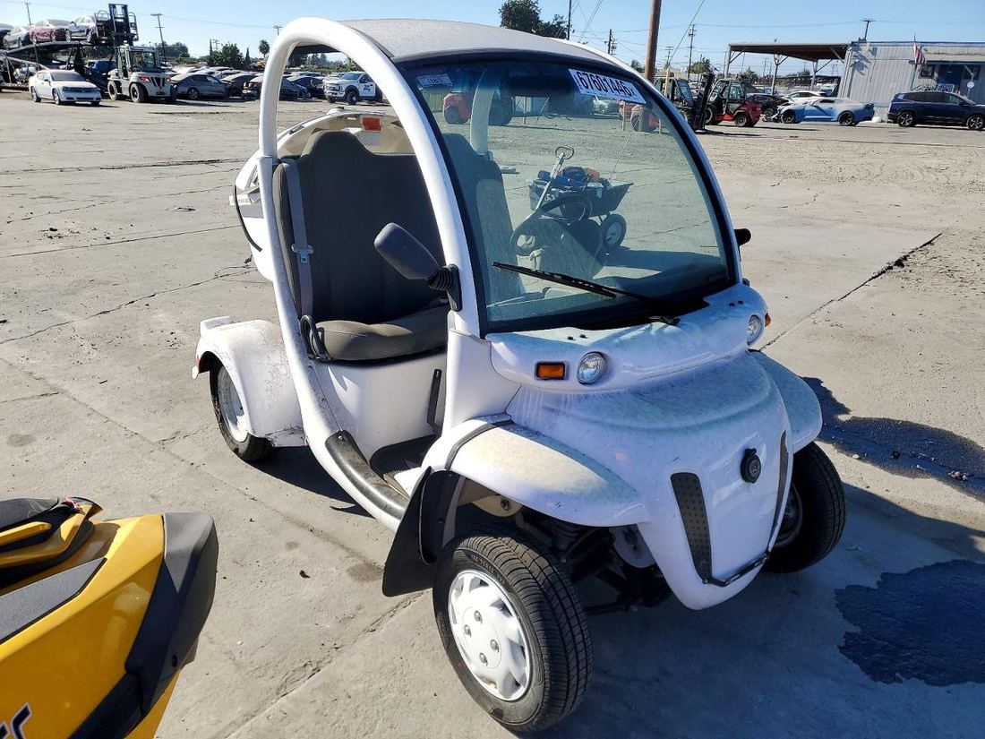 2010 GEM ELECTRIC