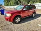 2008 FORD ESCAPE