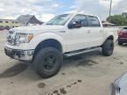 2010 FORD F150