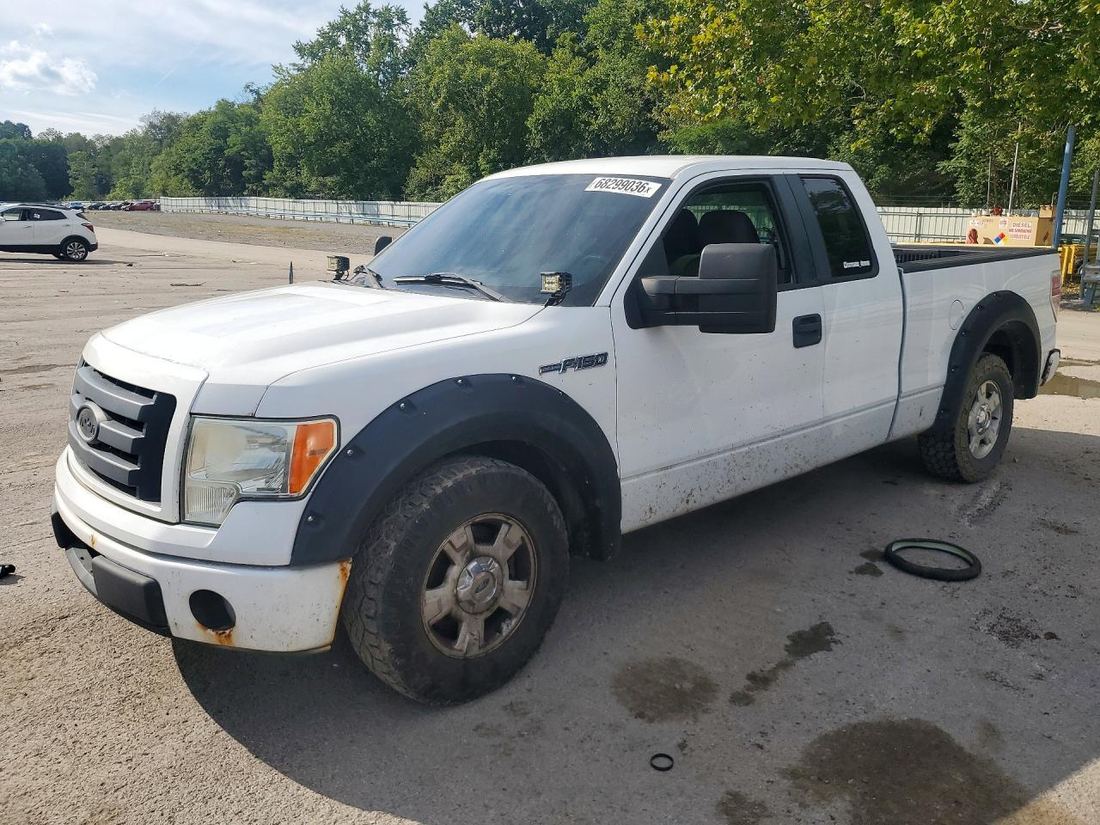 2010 FORD F150
