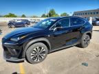 2019 LEXUS NX 300