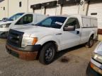 2013 FORD F150