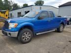 2011 FORD F150