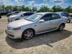 2008 ACURA TL