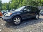 2008 HONDA CR-V