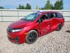 2025 HONDA ODYSSEY