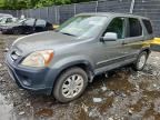 2006 HONDA CR-V